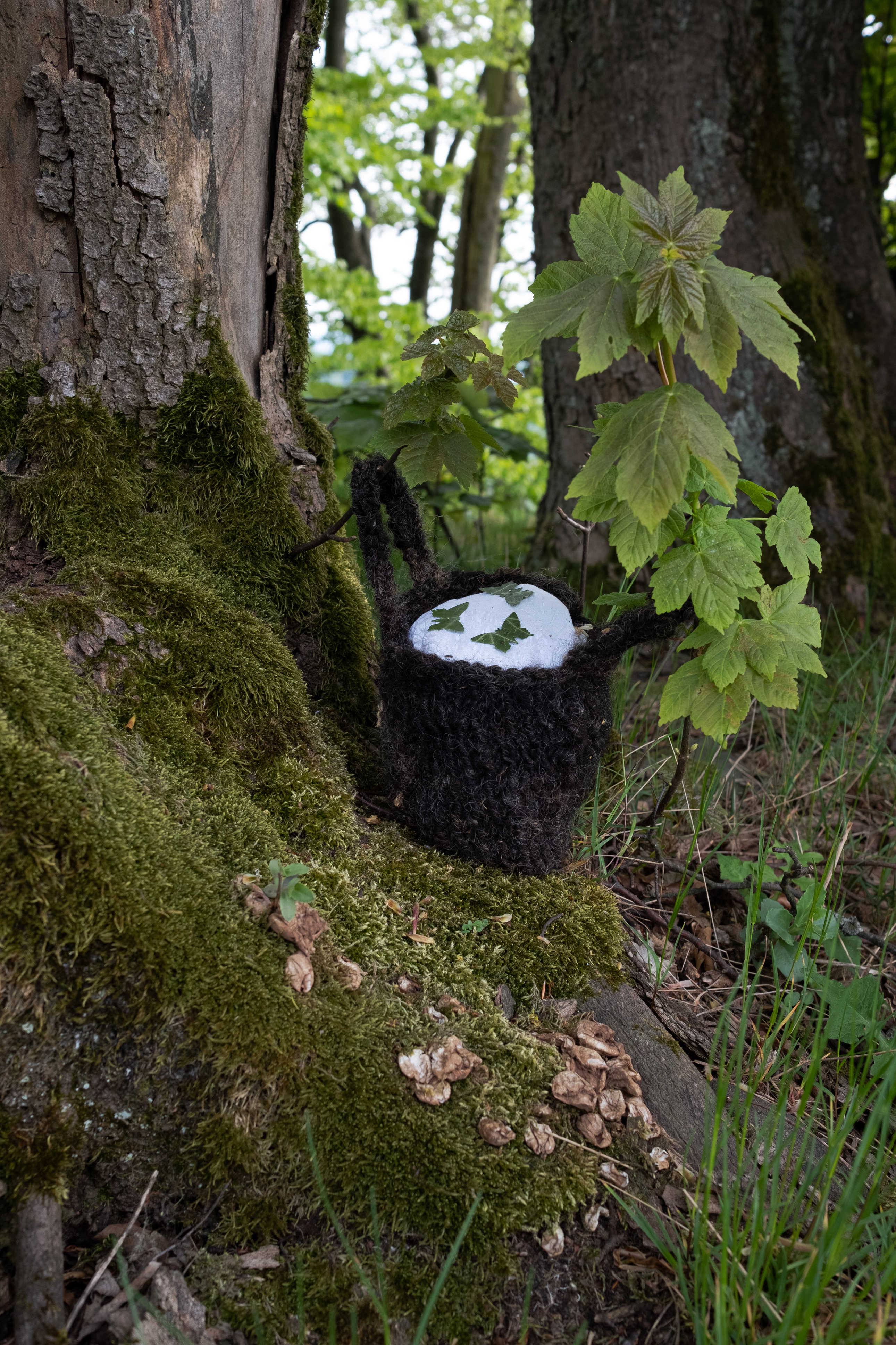 2020 05 Burial Of The White Man For Erik Niedling, Thuringia — Johanna Blank — Jeronim Horvat
